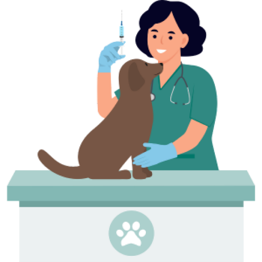 Veterinária com uma agulha na mão