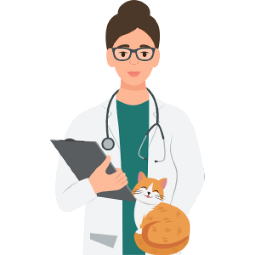 Veterinária cuidando de um cachorro